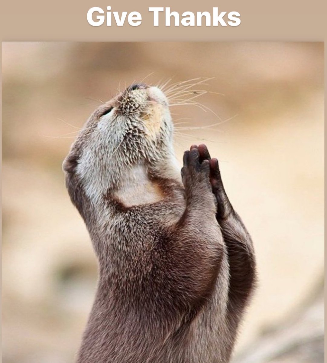 PlanetaBlu tweet media