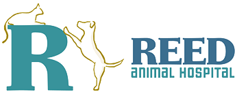 CampbellRotary's tweet image. We're excited to announce the winners of our 2020 #EthicsInBusiness Awards, local businesses that exemplify Rotary's #FourWayTest of ethical standards. Join us in congratulating Falafel's Drive-In, @ReedAnimalHosp &amp;amp; @StandardStreng1! campbellrotary.org/projects/ethic… #ServiceAboveSelf