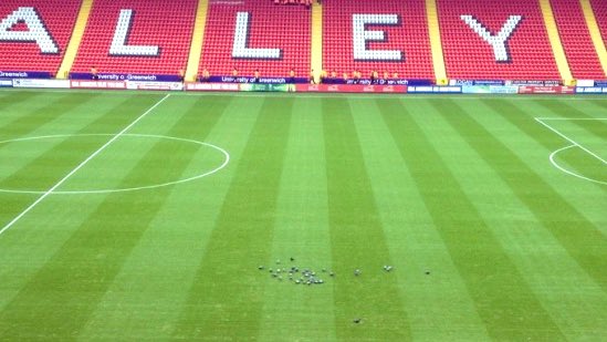 WoolwichPigeon's tweet image. To do list for Mr Sandgaard:

- Sausage rolls are on the greasy side  even for us 
- The groundsman is talented but hostile to the flock. Have a word. 
- Feed us curry and we’ll destroy the away team bus 
- Any chance of a bird table? 

Regards

Woolwich Flock 
#cafc #Sandgaard