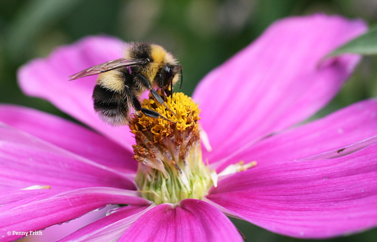 WildlifeTrusts's tweet photo. 20 million UK adults are physically inactive and obesity, mental ill health, dementia are all increasing. Nature’s recovery would help us recover, while reducing #NHS costs and preventing health &amp; social care problems at scale. 
Be part of the solution 👉 https://t.co/POm8SXEyuE https://t.co/H3sBZJ5Jhc
