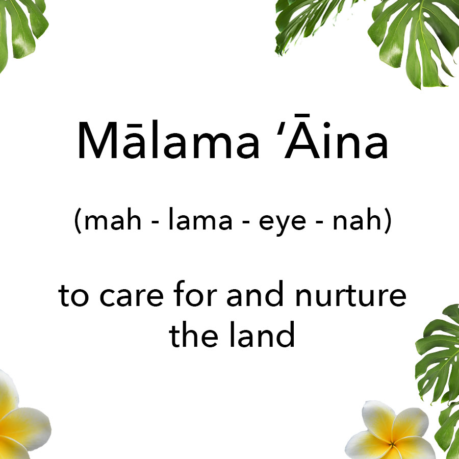 We are all in this together! Care for the land that cares for you.