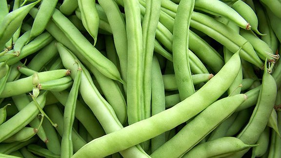 Castellini_Co's tweet photo. We're still enjoying the spoils of the Local Growing Season and the taste of summer with some favorites... Like Half Runner Beans from Michael Farms! #CelebrateFresh  #LocallyGrown #EatLocal https://t.co/Kpp41dSSKv