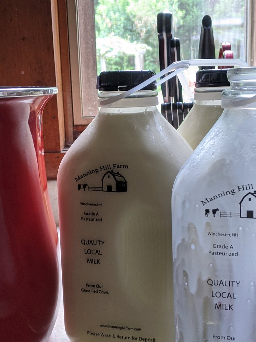 Putting this in the thread even though I do this bi-weekly. Making 1.5 gal of yogurt from local, fresh, non-homogenized grass fed milk. It will stay good in the fridge for months and months.