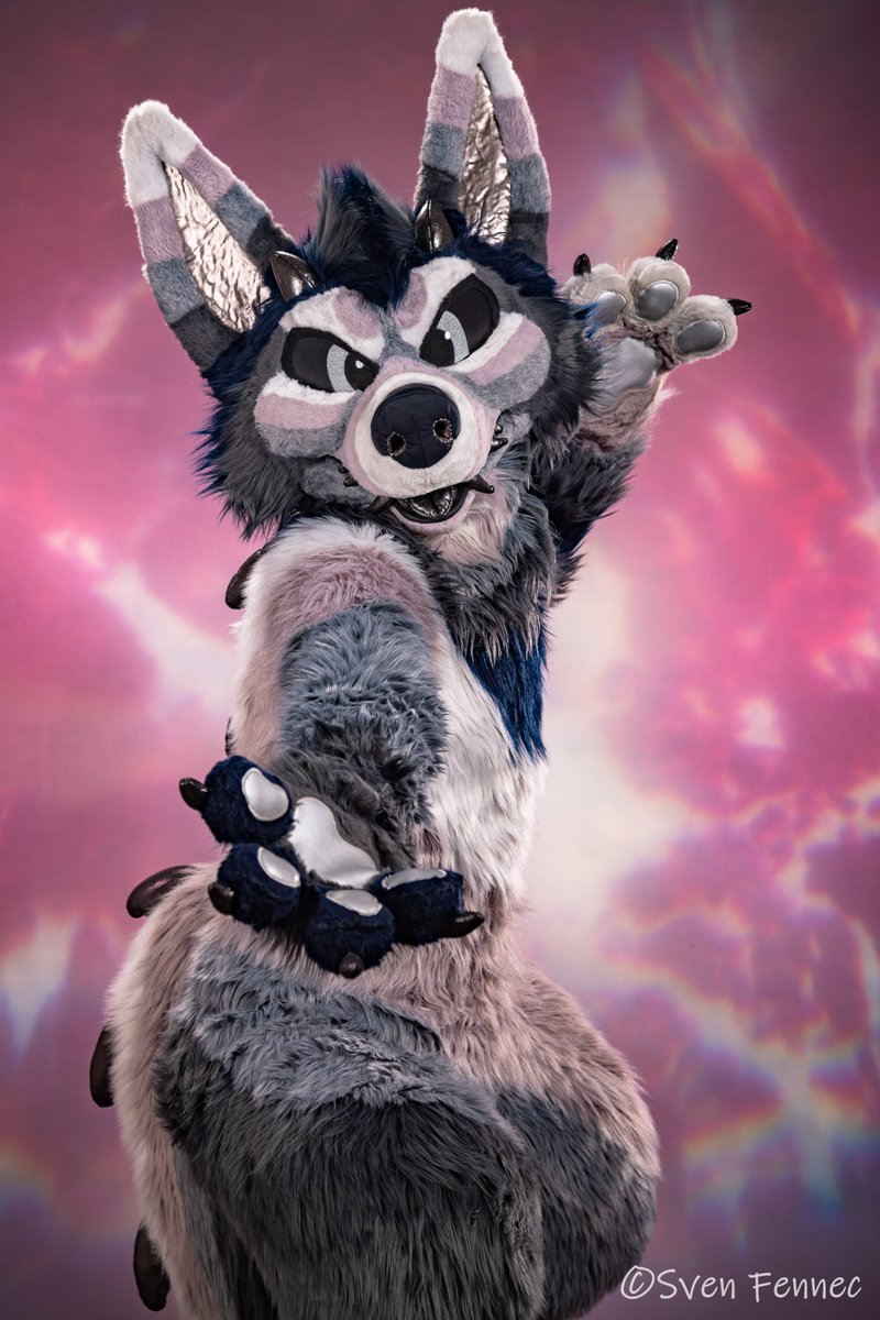 Riverwulf's tweet photo. Come, take my paw. I won't bite... too hard. π
#TFUTuesday
βοΈ @ThatsFurredUp
πΈ @SvenFennec https://t.co/eHoi82HVEY
