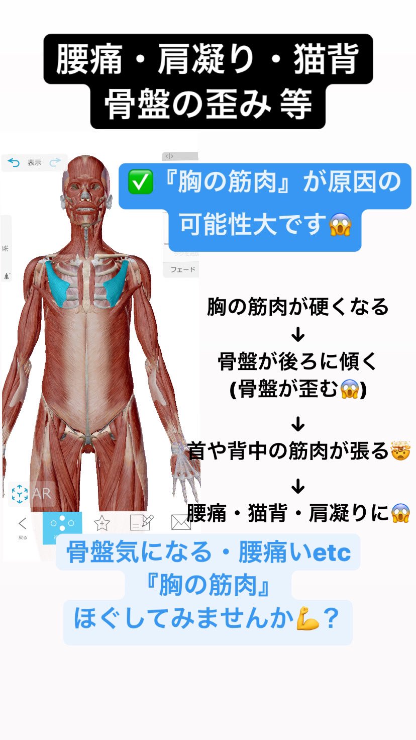 はやと 体を整える創作者 肩痛い 腰痛い 猫背 骨盤が歪んでるかも 原因の1つは 小さな胸の筋肉 です 胸の筋肉硬くなる 骨盤後傾 骨盤の歪み 首や背中の筋肉が張る 腰痛 猫背 肩凝りに 人の体は面白い だから はやと 体を整える創作者 肩痛い 腰痛い 猫背 骨盤が歪んでるかも 原因の1つは 小さな胸の筋肉 です 胸の筋肉硬くなる 骨盤後傾 骨盤の歪み 首や背中の筋肉が張る 腰痛 猫背 肩凝りに 人の体は面白い だから