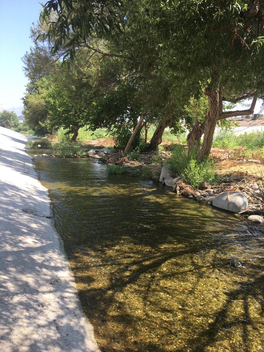 The L.A. River this morning