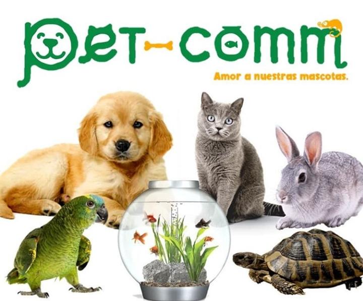 Sabias que existen traslados especializados en mascotas? Este y mas servicios los tenemos para ti en pet-comm.com/tienda Visitanos!!
