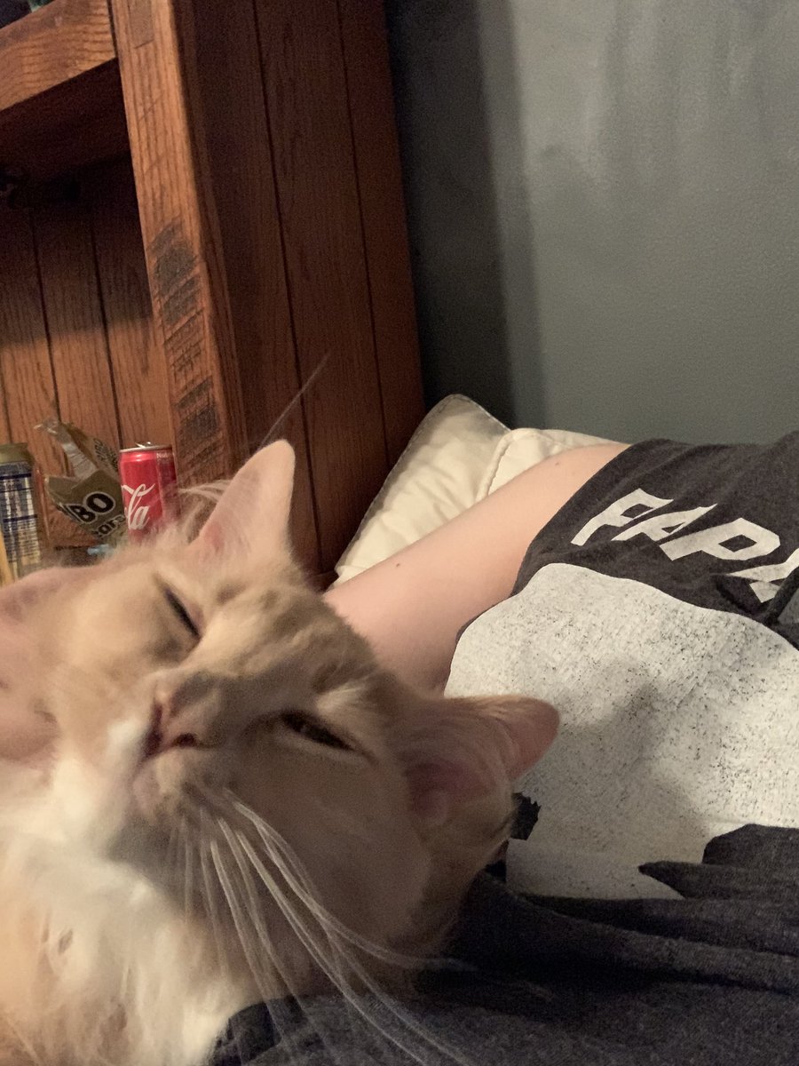 thebiggestfloof's tweet photo. oagh i do lov am good scrimch tho https://t.co/vmuzUzytBV