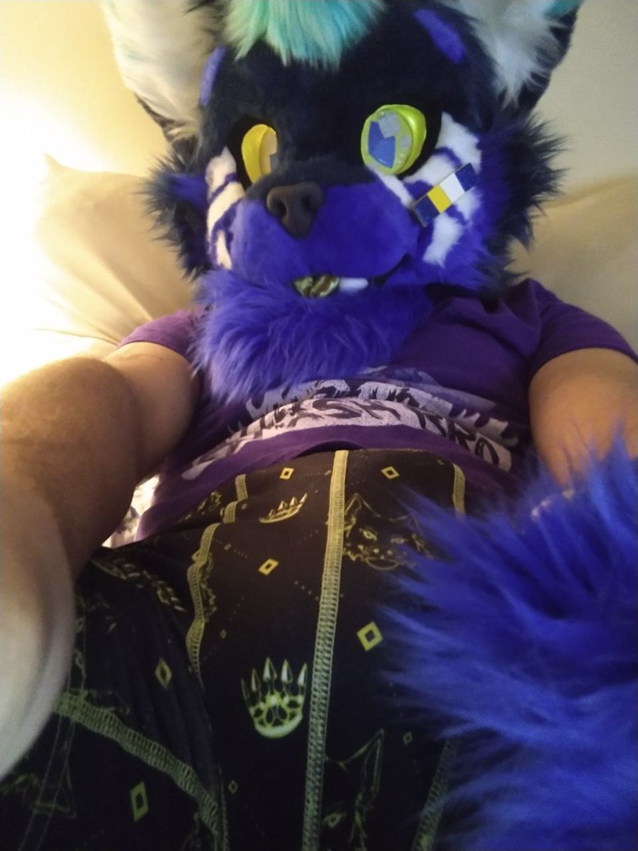 34Glitch's tweet photo. Meowdy! I'm Glitch! I'm your average  digital pixel cat! I'm a bit shy, but even us shy boys like to show off our goods every now and then uwu, and i feel like i can now. Come say hi! Promise i don't bite ;3 https://t.co/WbiNqDjuHR