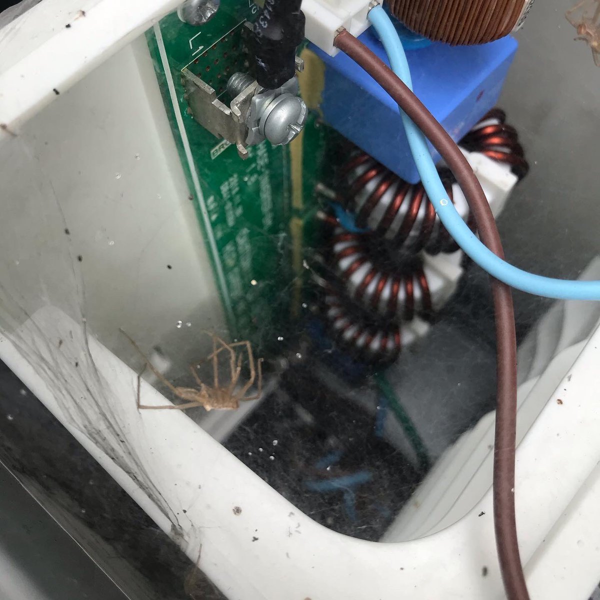 Better_Enviro's tweet photo. Solar thermal and 2 x Samsung heat pumps repaired and serviced today. Fixed, cleaned, recharged and a full MOT complete... A good days work. .
.
.
#renewableenergyrepairs #renewableheating #solarthermal #airsourceheatpump #samsungheatpumps https://t.co/te5ncDpS59