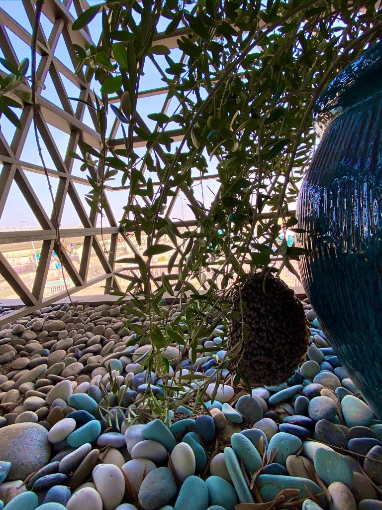 Mohamed Albassami | محمد البسَّامي tweet media