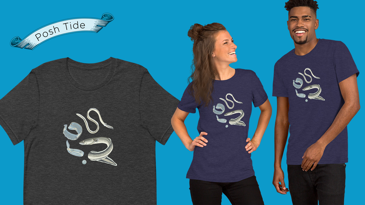The life cycle of the European eel, one of the great mysteries pondered by the likes of Freud and Aristotle... you know you want this shirt... poshtide.com/collections/t-…
#Anguillaanguilla #eels #europeaneel #poshtide