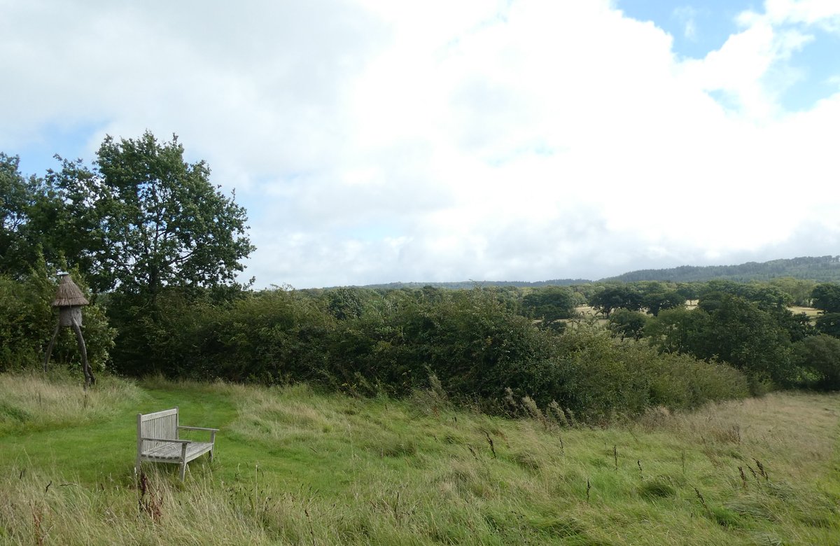 AliDriverUK's tweet image. 5 additions to the planned @RewildingB Rewilding Network today after site visits to a cluster of farms where #rewilding is underway or possible across 2000 acres in NE #Somerset and two new approaches from people seeking advice on rewilding at scale in North #Wales and #Dorset