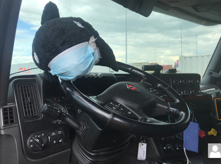AMTA_ca's tweet photo. In case you didn't get enough orca content on your feed today, we are happy to report this wee one will be reunited with their family early next month! In the meantime, they will continue to tour and adventure, including a safely masked visit with our friends at #CNTL! https://t.co/dSzzR2e2J7