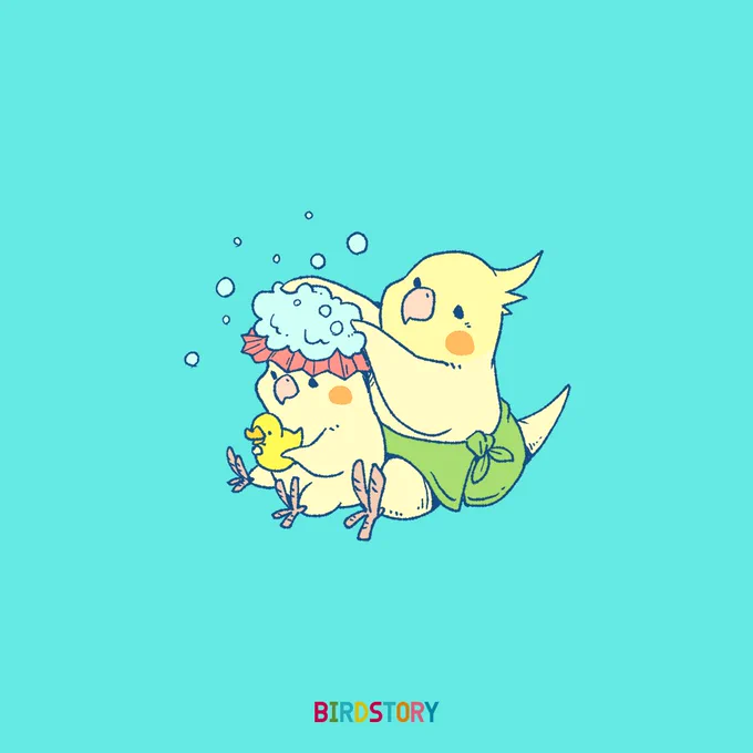 おはようございます。
本日は8月26日、パパとお風呂の語呂合わせから、パパフロの日とのことです?
#BIRDSTORY 
#オカメインコ #シャンプーハット 