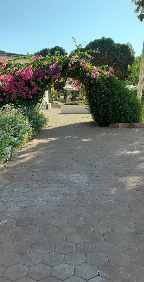 Beautiful lovely woman have wonderful night baby nıce to meet you