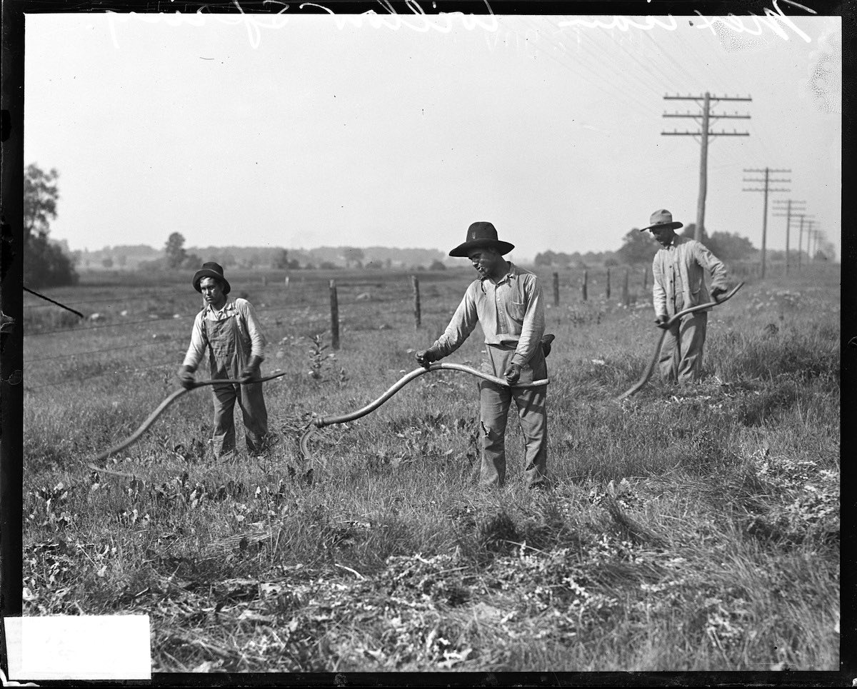 (3/6)... importance of Mexican immigrant farmers and ranchers within the agricultural community. This was only after much lobbying by those within the agricultural hierarchy of the U.S.