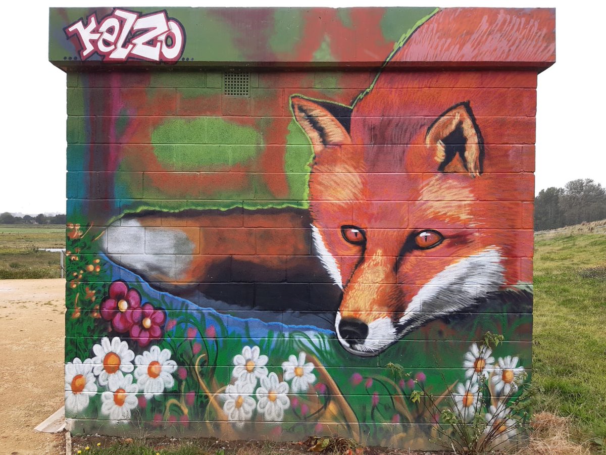 Wilder Things tweet media