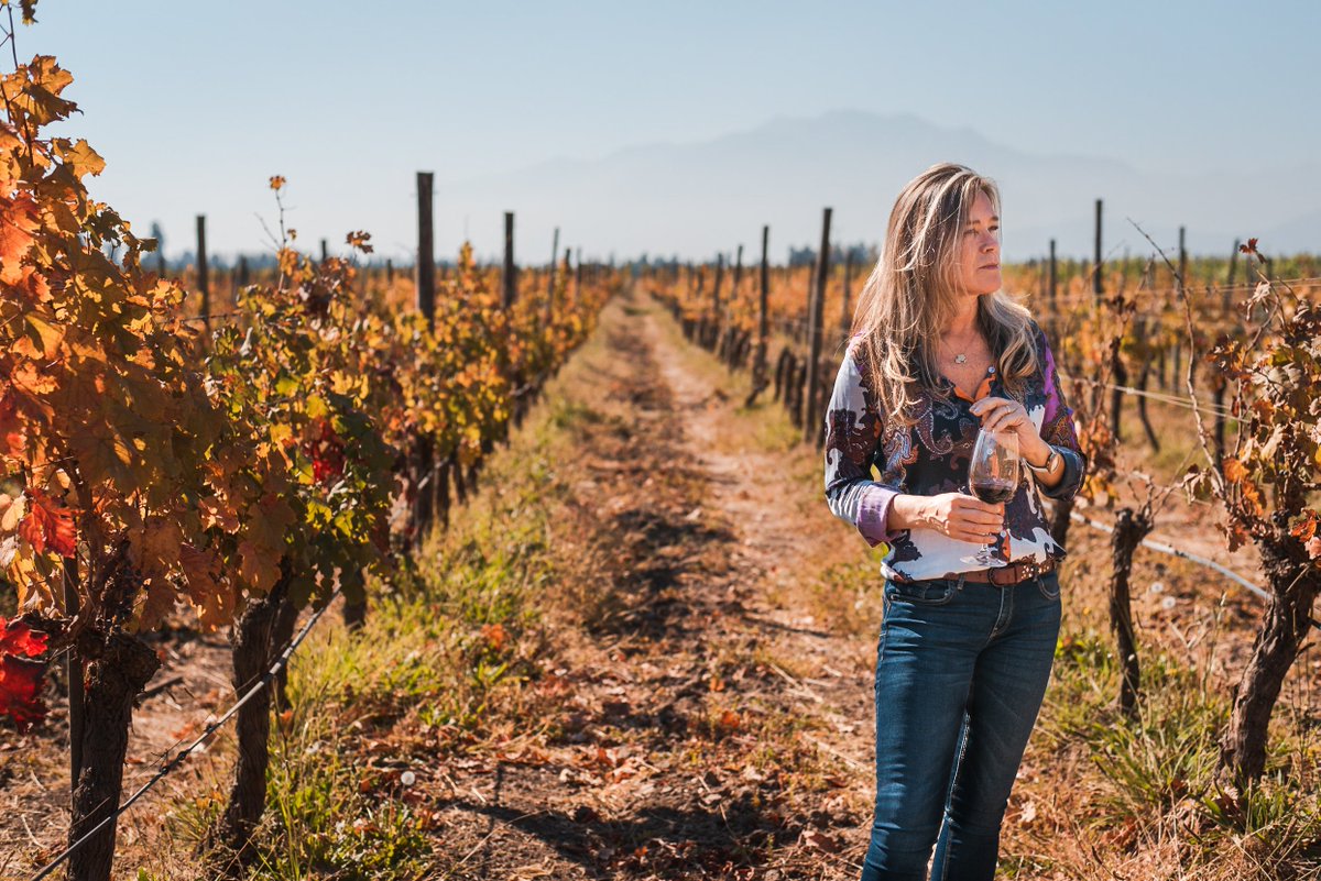 Inspiración entre los viñedos. I Inspiration through the vineyards. #ViñaHarasdePirque #OrganicWines #Memories  #MaipoValley