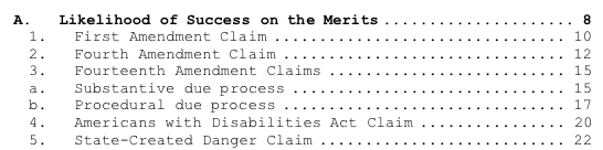 Plaintiffs made arguments for the injunction on behalf of the First, Fourth, and Fourteenth Amendment, as well as ADA and "state-created danger" claims. All five were denied.