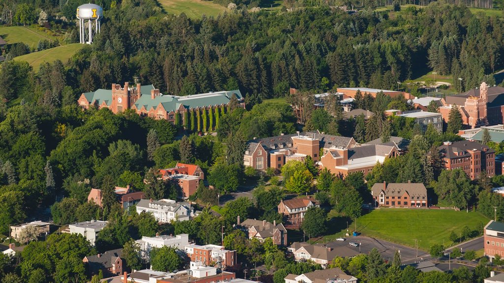 Landon Peterson (@lcpeterson1211) on Twitter photo beyond blessed and honored to receive my first division 1 scholarship offer at the University of Idaho! Thank you so much <a href="/CoachCawley/">Tim Cawley</a> for the opportunity! Go Vandals🖤💛! beyond blessed and honored to receive my first division 1 scholarship offer at the University of Idaho! Thank you so much <a href="/CoachCawley/">Tim Cawley</a> for the opportunity! Go Vandals🖤💛!