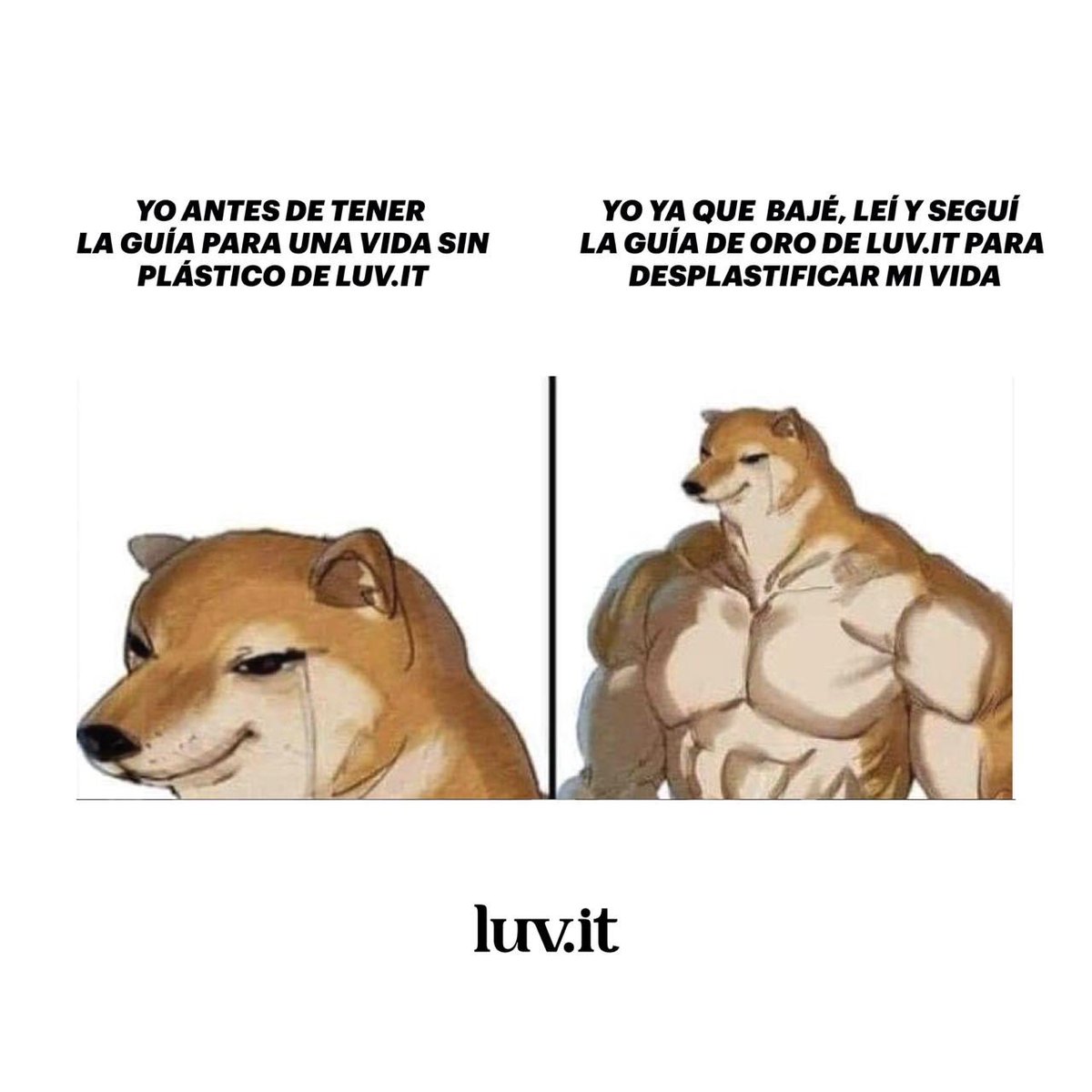 luvit's tweet image. ¡Ya podemos dejar de sufrir por no saber cómo hacer un cambio permanente en nuestras vidas! 

Descarga La Guía de Oro✨ aquí: mailchi.mp/luv.it/luvitgu…