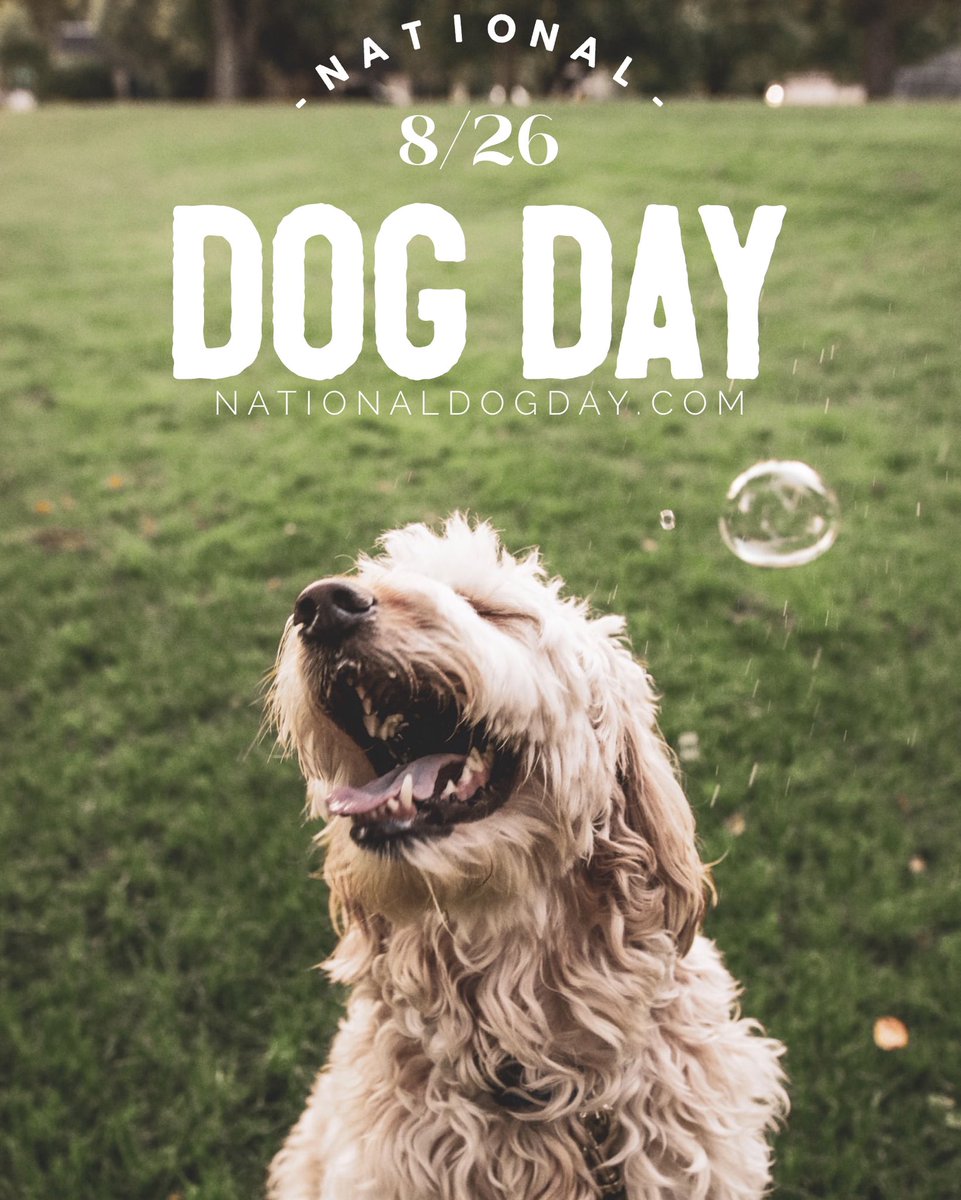 NationalDogDay's tweet image. Tomorrow National Dog Day celebrates 16 years and is marked by several fun events, which showcases dog loving celebrities, multiple contests, human and canine social media influencers, a livestream virtual puppies &amp;amp; more! #NationalDogDay