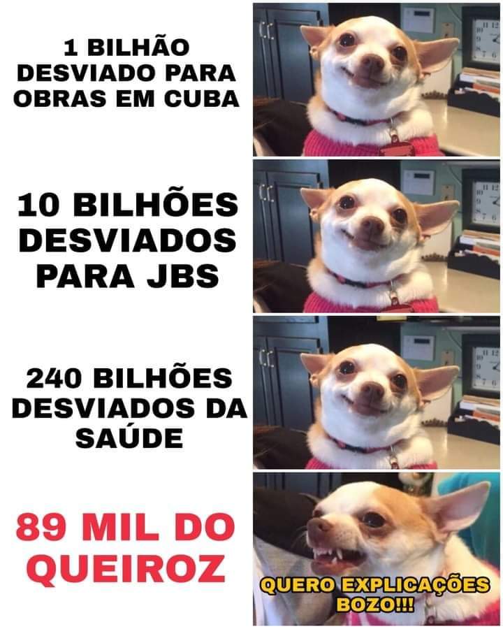 oiluiz's tweet photo. Mande no grupo do zap pra irritar aquela sua prima comunista https://t.co/tEASMahZmq