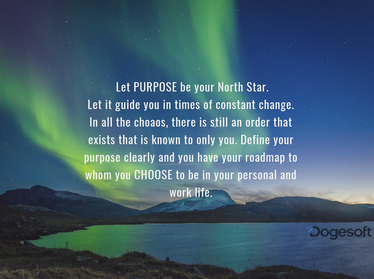 Dogesoft tweet media