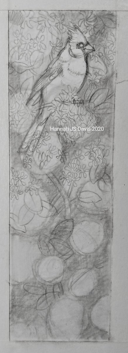 Laying things out on this bookmark, I'm trying to avoid getting too detailed so not to waste time since it will be painted.

#commission #bookmark #birds #cardinalbird #cardinal #jasmine #workinprogress #wip #illustration