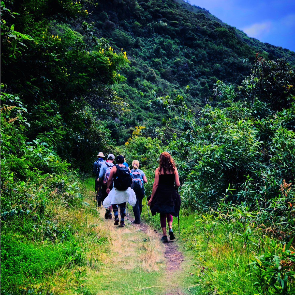 SparrowExplorer's tweet photo. Salkantay - Alternative Inca Trail to #Machupicchu !!! #travelphotography #naturephotography #trip #travelblogger #naturelovers #ctperu #nature_perfection #trekking #hike #cusco #wonderlust #mountains #explore #love #lonelyplanet #natgeo #discovery #BeSafe #alternativeincatrail https://t.co/1GAwghy3XX