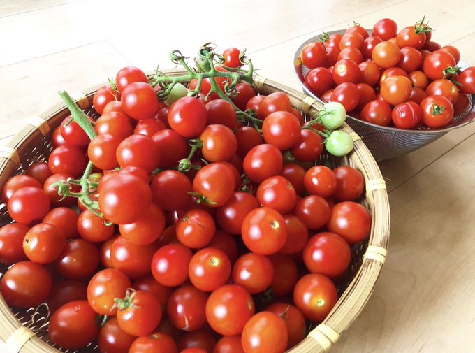 夏野菜のtwitterイラスト検索結果