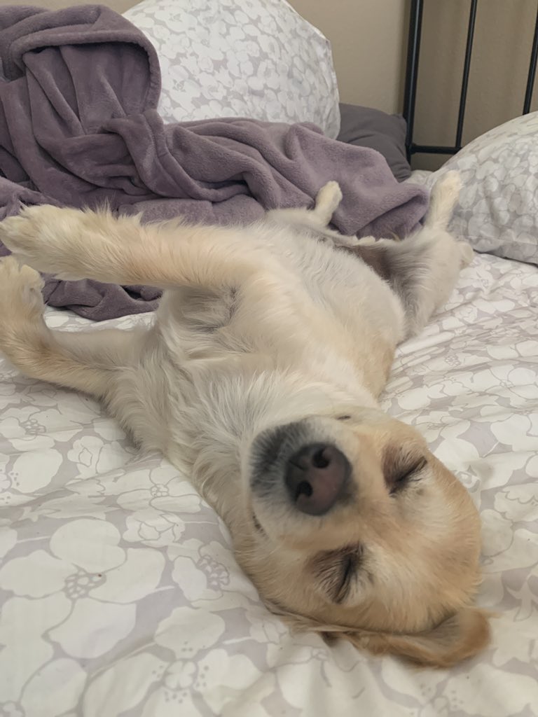 basicvane tweet media