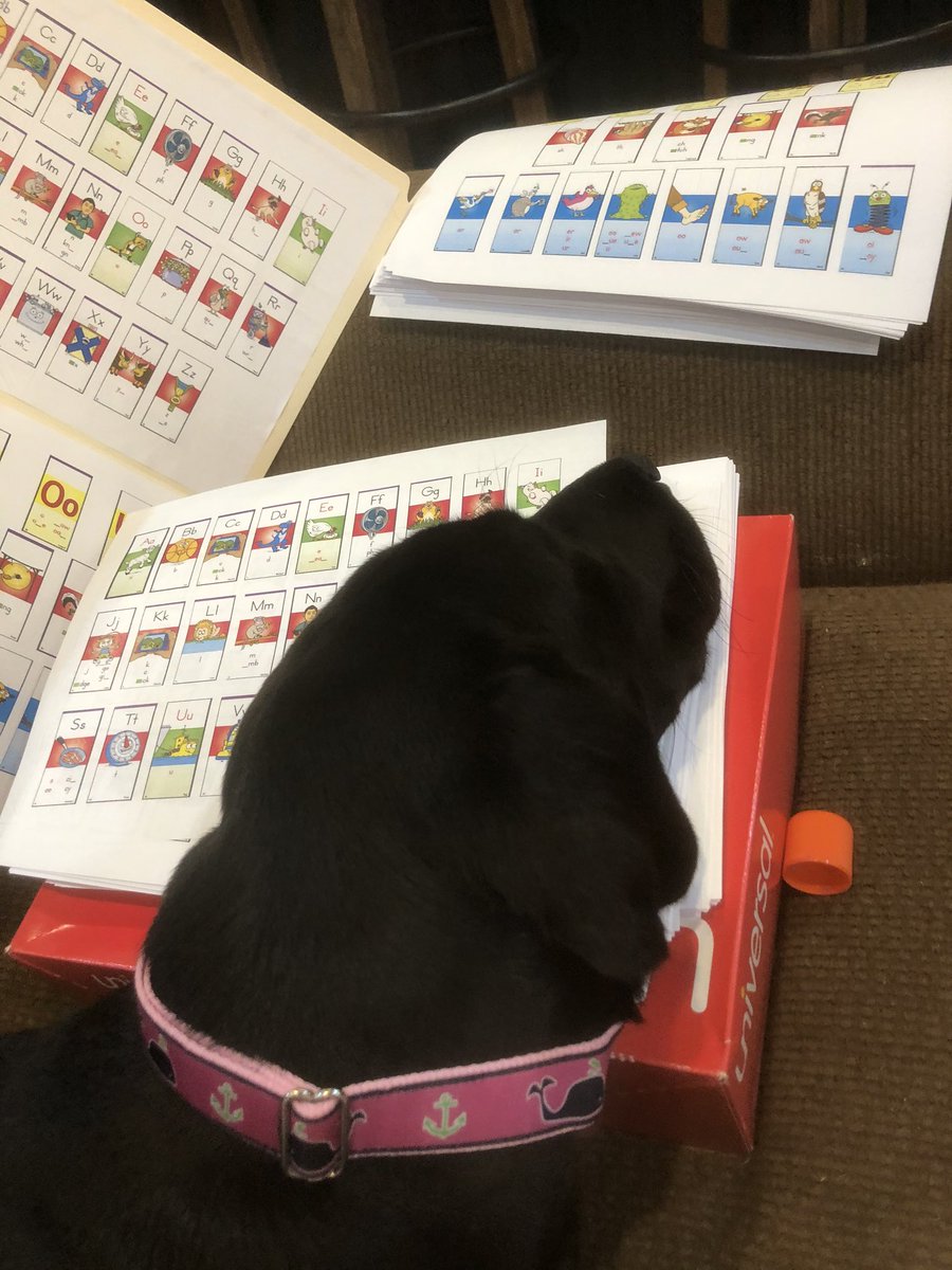 My puppy, Dolly, does not appreciate these file folders on her couch, but I’m excited for our students to have these for at home learning!