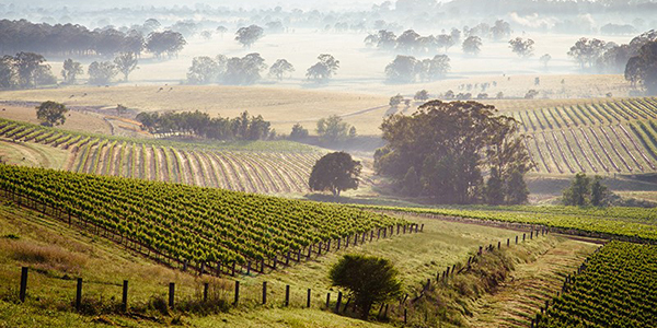 Mark Bennett tweet media