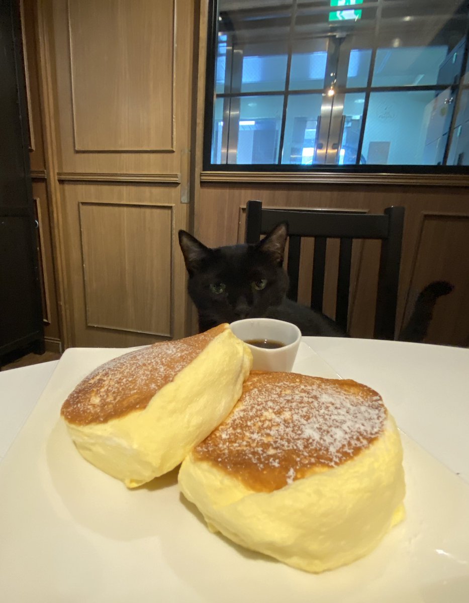 カフェきゃらふ 東京浅草の猫カフェ 黒猫のパンケーキ出来上がりっ 黒猫パンケーキ ミャンミャンッ