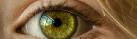 iZySolutions's tweet photo. 👁️👍 AMD (age-related macular degeneration): new horizons are opening uf for the treatment disease
https://t.co/av6nMk4pCF 

Source: @Acuitefr 
#Optical #OpticalIndustry #Glasses #Opticians https://t.co/b6STYx2Ocj