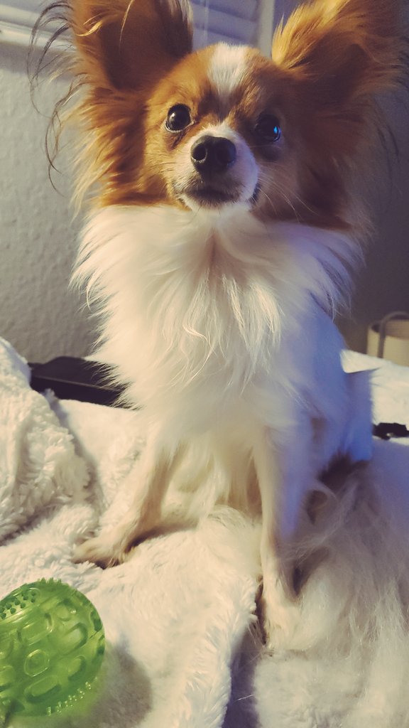 itsCheersLove's tweet photo. Birthday stream is just getting started ❤❤🎉🎉 https://t.co/CbzkN2GFAW
