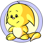 22. KacheekAh yes, the unofficial mascot of Neopets at least to me. Heavy pikachu vibes with this guy. Though extremely effective, he gives off teddy bear vibes. There's no real favortism when it comes to pet popularity and I think he's pretty solid 8/10