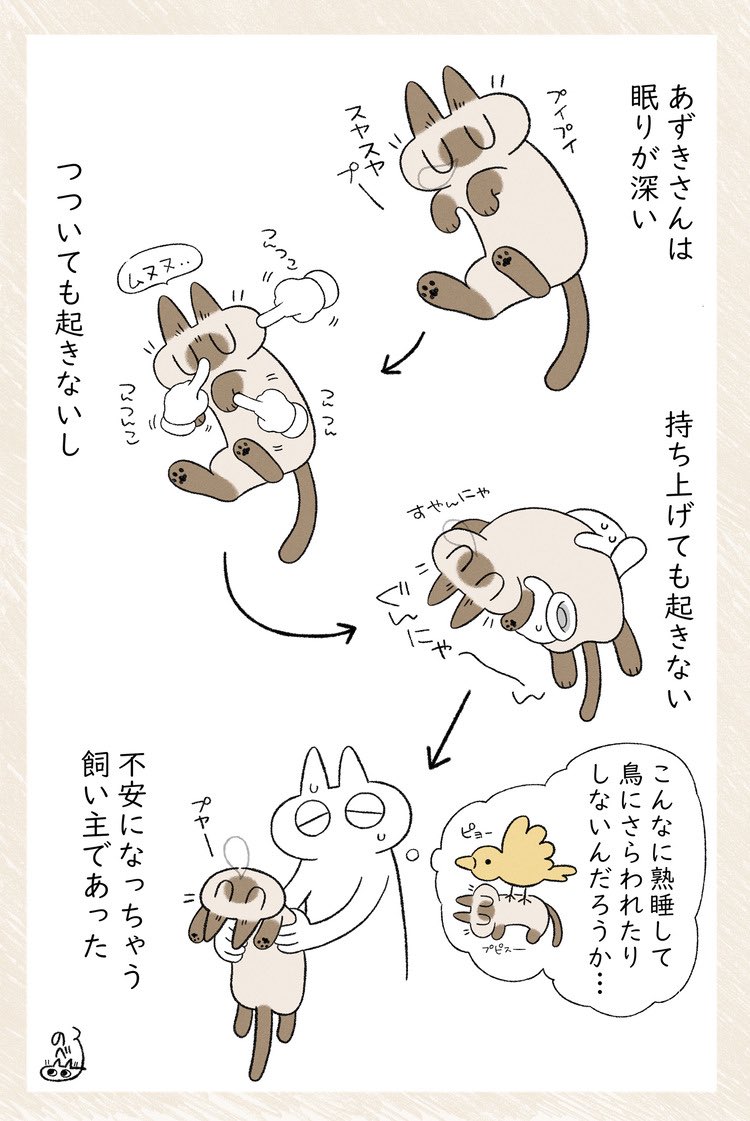 眠り深すぎ問題児 #シャム猫あずきさんは世界の中心 