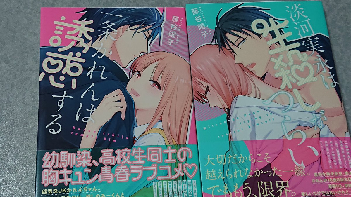 藤谷陽子先生 藤谷陽子先生