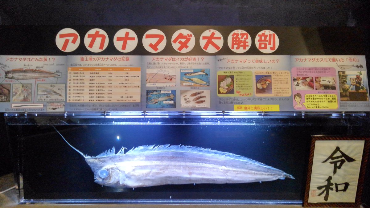アカナマダ アカナマダ