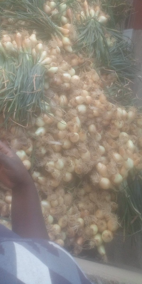 Deuteronomy 28:8
"The LORD will send a blessing on your barns and on everything you put your hand to. The LORD your God will bless you in the land he is giving you"

InterestingTimes