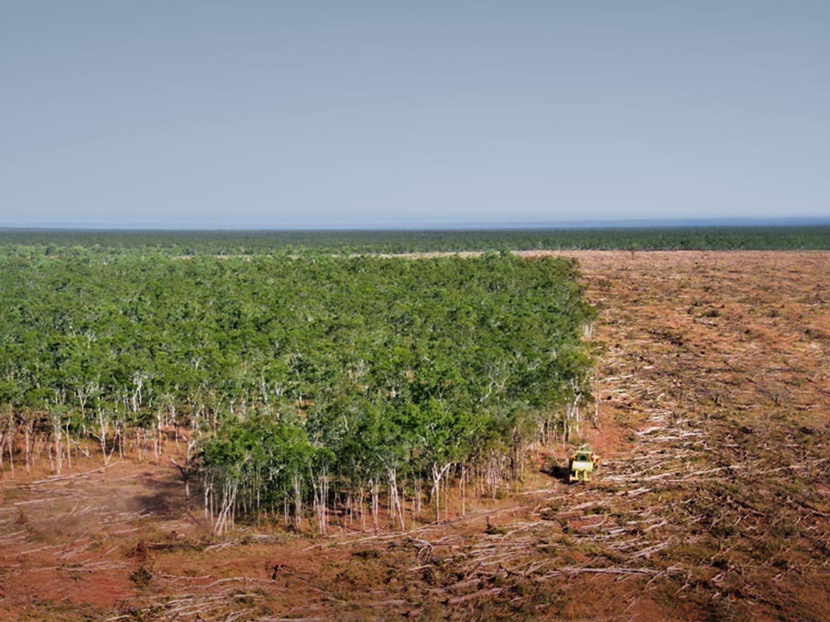 1 of 20/ For anyone who watched  @craigreucassel’s  #FightforPlanetA last night and wants to know more about Australia’s  #deforestation rates, its links to  #climatechange &  #beef production, here's some links to evidence and articles. Warning: it’s a long thread!