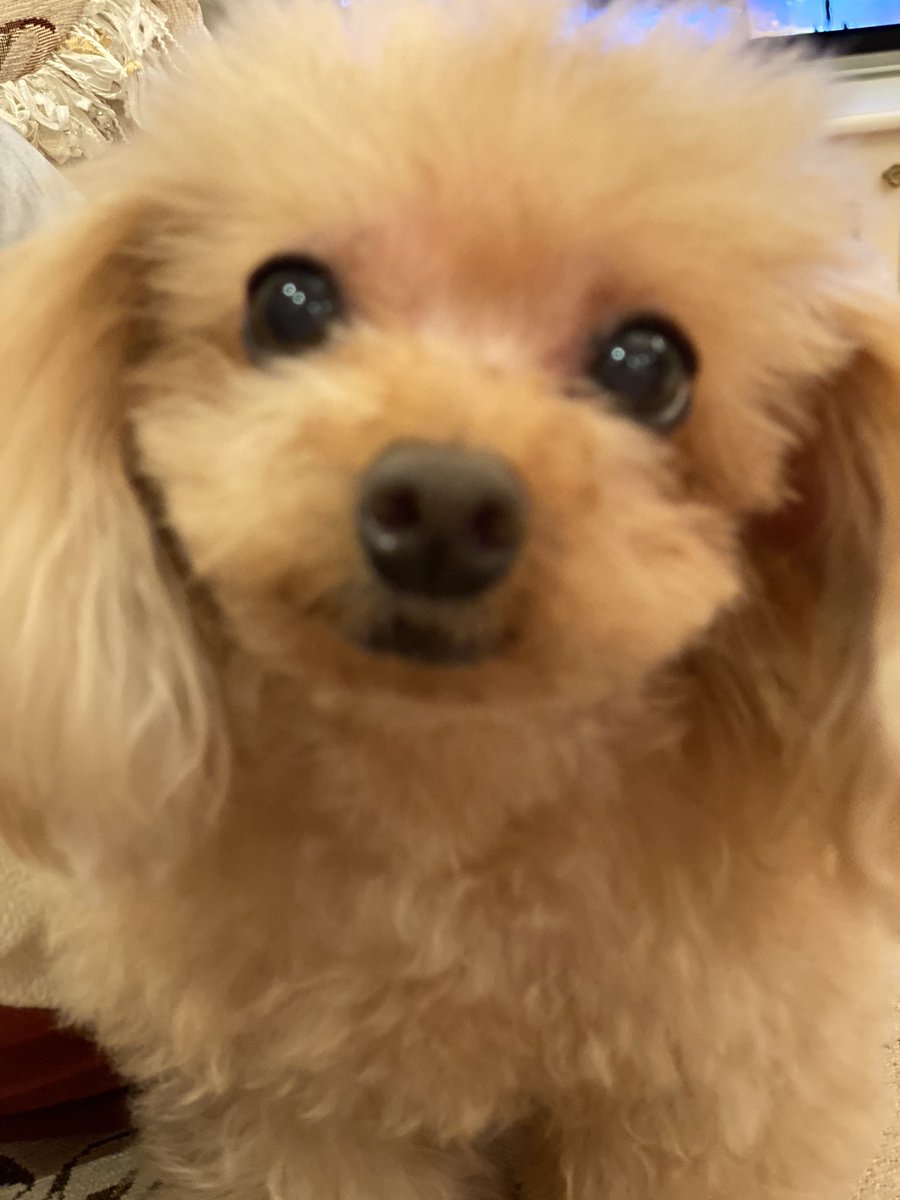 愛沢えみり こんにちは
