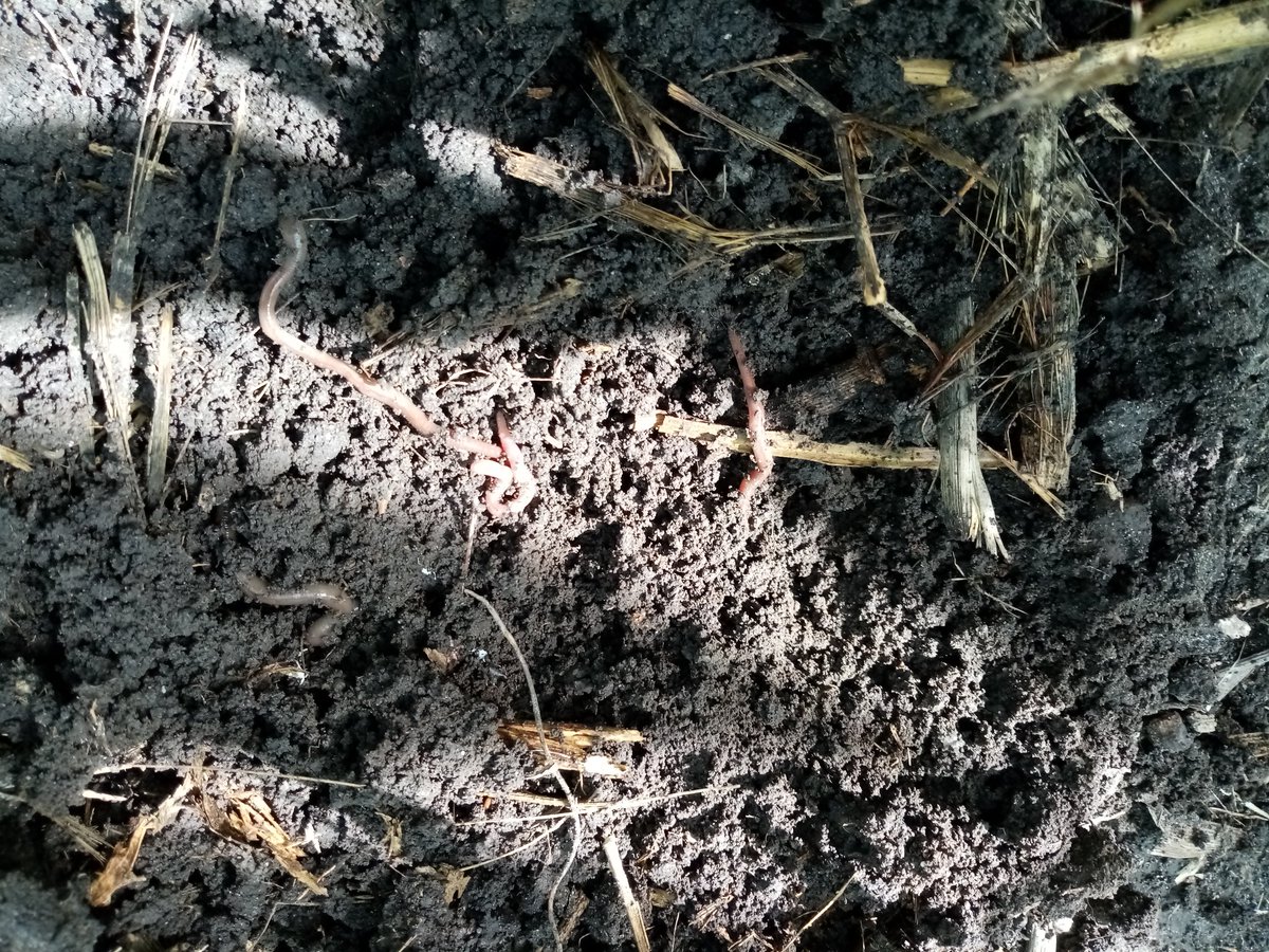 José Alfredo Estrada Alcala (JosAlfredoEstr7) Twitter