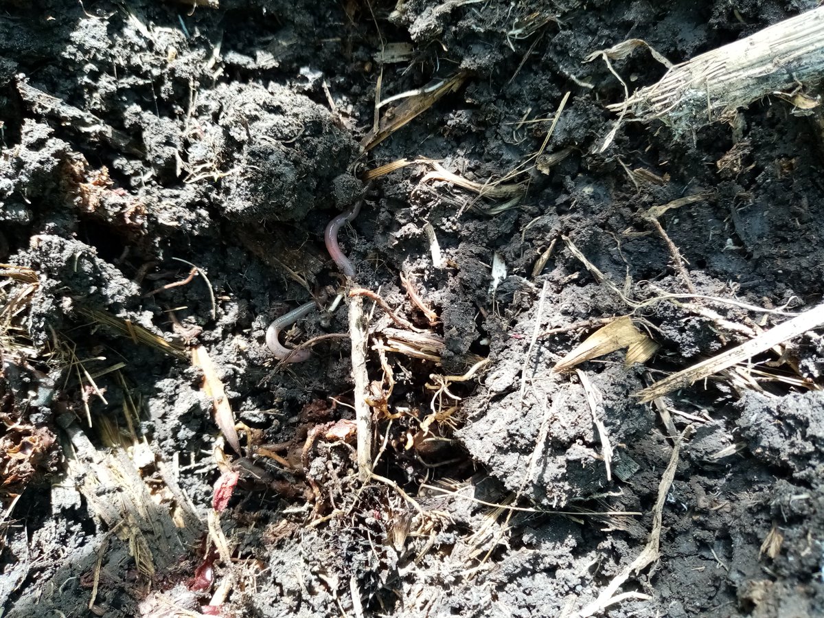 José Alfredo Estrada Alcala (JosAlfredoEstr7) Twitter