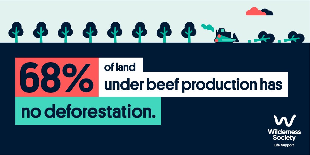 18 of 20/ The data ALSO showed something very positive: In the last 5 years, 68% of parcels of land in Queensland under beef production was deforestation-free. That means it's totally possible to decouple beef production from deforestation.  https://www.wilderness.org.au/beef-property-analysis