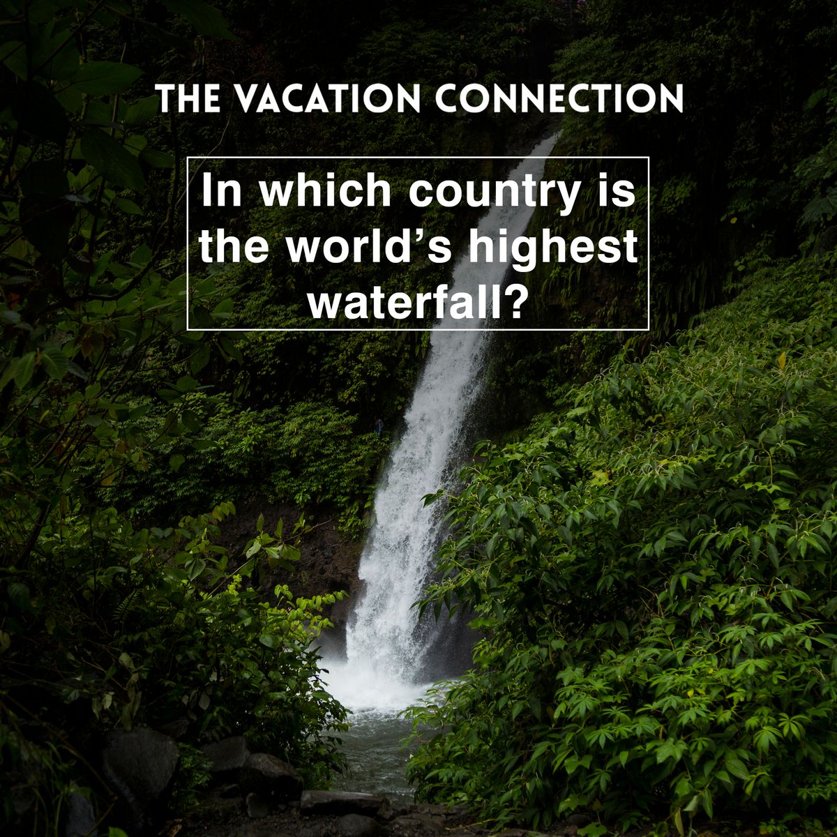 TheVacationCon1's tweet photo. Travel lovers!!! Another quiz for you. Start commenting now!!!
.
.
.
#thevacationconnection #quiz #quiztime #guess #places #travel #travelagain #travelquiz #travelgasm #indiantravelblogger #tripoto #travelgoals #travellife #traveller #traveler #travellers #travelling #travelphoto https://t.co/ZAY25OoWSr