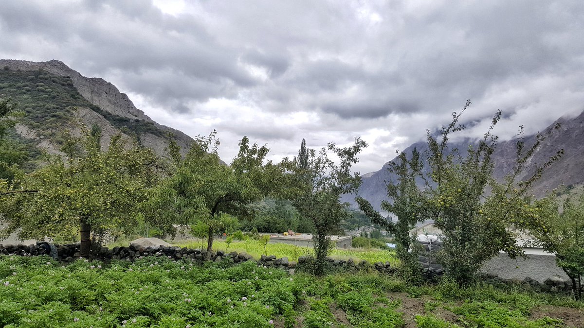 Kasmalo9's tweet photo. Rain is blessings in some places like we have in Gulmit Gojal Hunza. 

#Hunzarains versus #KarachiRain https://t.co/kHHtpVo8ih